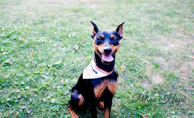 PetinaHopePhotography90913